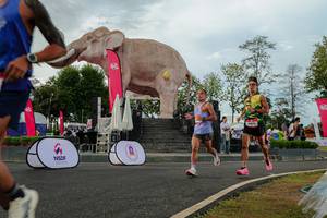 BIB: 
                            <button type="button" onclick="openModal(26528477)" class="btn btn-primary btn-sm float-right btn-popup" data-toggle="modal" data-target=".modal-high-quality">
                        <i class="fas fa-shopping-cart"></i> Add to Cart
                    </button>
                                            <button type="button" onclick="isThisMe(26528477, true)" class="btn btn-success btn-sm float-right btn-popup btn-isme hidden" data-toggle="tooltip" data-placement="bottom" title="นี่คือรูปของคุณใช่ไหม คลิกที่นี่เพื่อเอาเข้าอัลบั้ม">
                        <i class="fas fa-plus"></i> Add to album
                    </button>
                    <button type="button" onclick="isThisMe(26528477, false)" class="btn btn-warning btn-sm float-right btn-popup btn-isnotme hidden">
                        <i class="fas fa-ban"></i> Remove from album
                    </button>